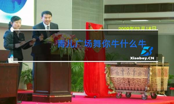 青儿广场舞你牛什么牛