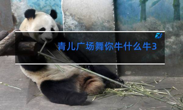 青儿广场舞你牛什么牛36步