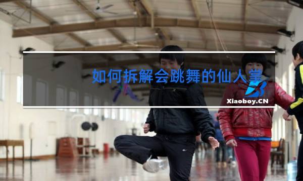 如何拆解会跳舞的仙人掌