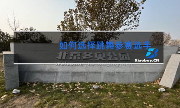 如何选择跳舞参赛选手图片