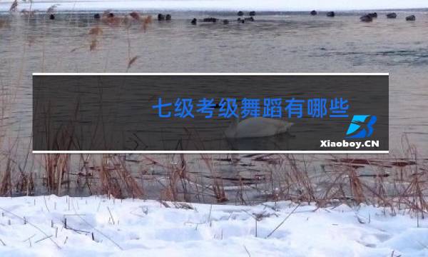 七级考级舞蹈有哪些