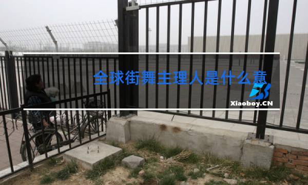 全球街舞主理人是什么意思
