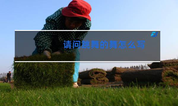 请问跳舞的舞怎么写