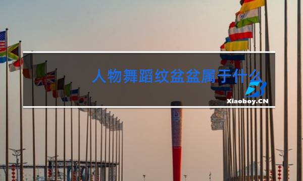 人物舞蹈纹盆盆属于什么类型