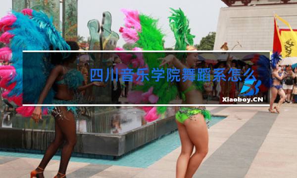 四川音乐学院舞蹈系怎么样