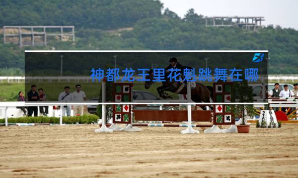 神都龙王里花魁跳舞在哪