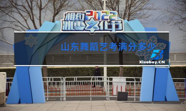山东舞蹈艺考满分多少
