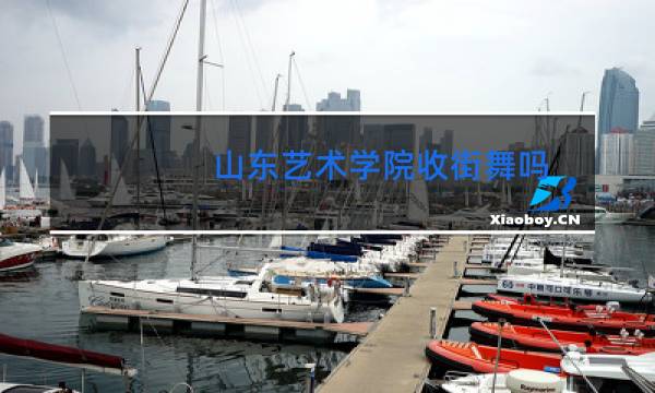 山东艺术学院收街舞吗