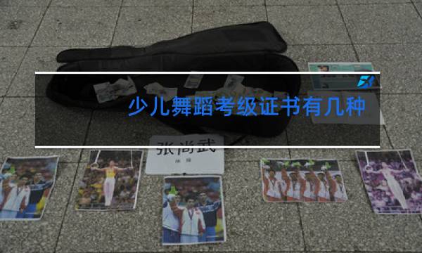 少儿舞蹈考级证书有几种