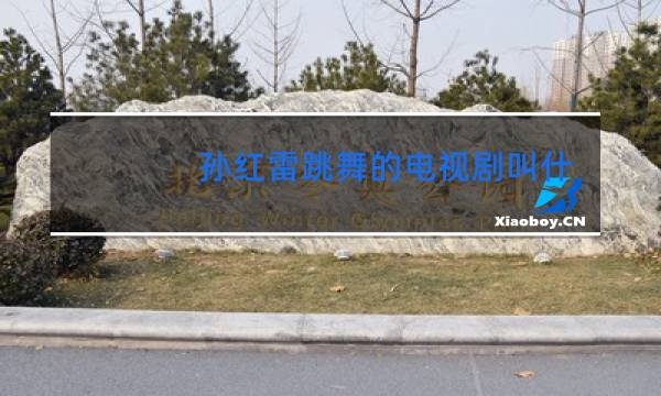 孙红雷跳舞的电视剧叫什么