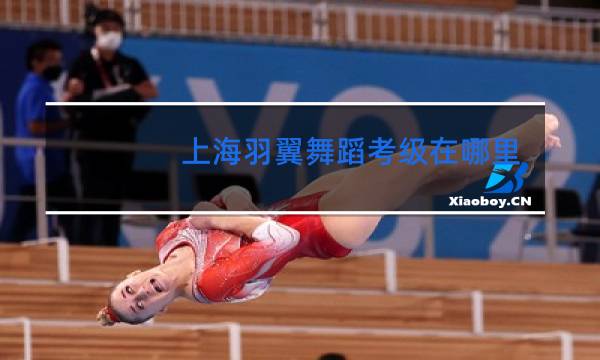 上海羽翼舞蹈考级在哪里
