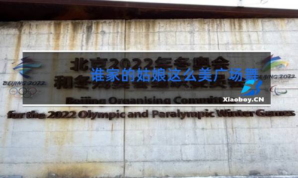 谁家的姑娘这么美广场舞DJ