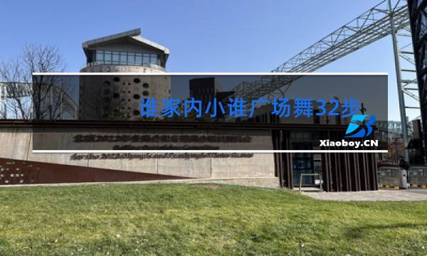 谁家内小谁广场舞32步