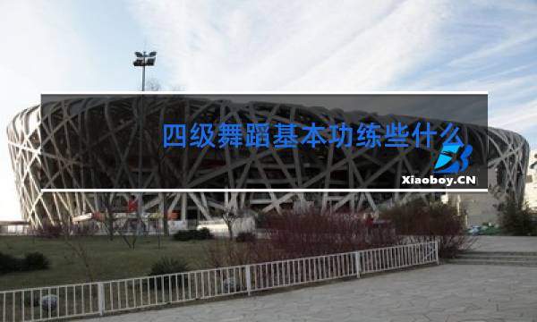 四级舞蹈基本功练些什么