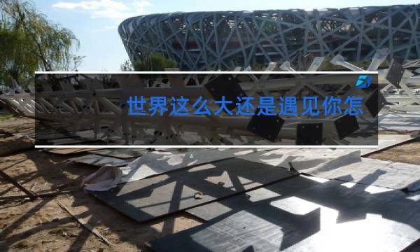 世界这么大还是遇见你怎么跳舞