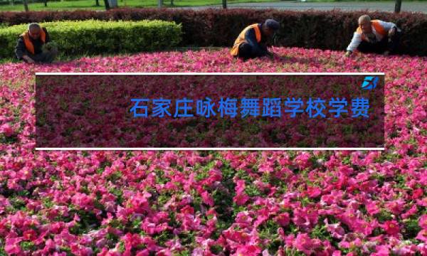 石家庄咏梅舞蹈学校学费多少