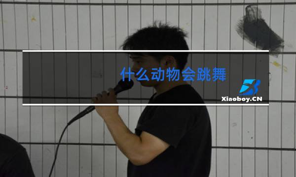 什么动物会跳舞