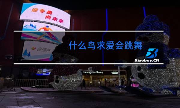 什么鸟求爱会跳舞