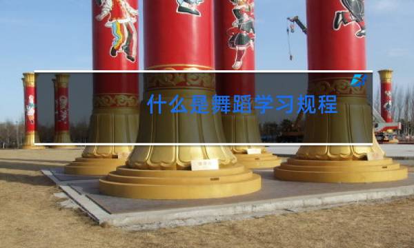 什么是舞蹈学习规程