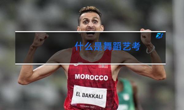 什么是舞蹈艺考图片