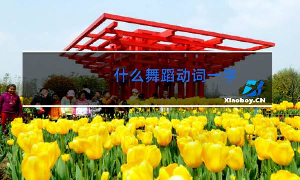 什么舞蹈动词一字