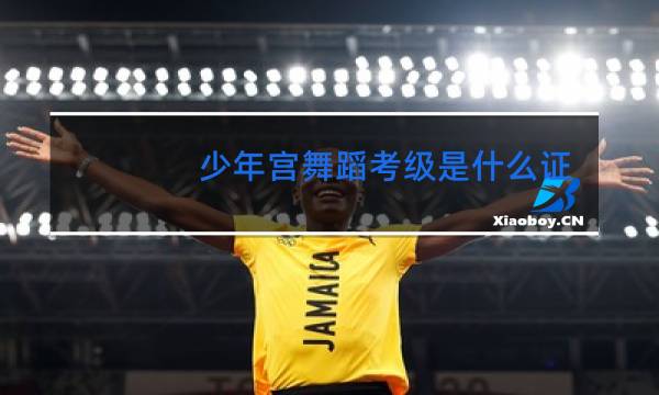 少年宫舞蹈考级是什么证书