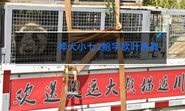 神犬小七2鲍宇欧叶跳舞是哪一集图片