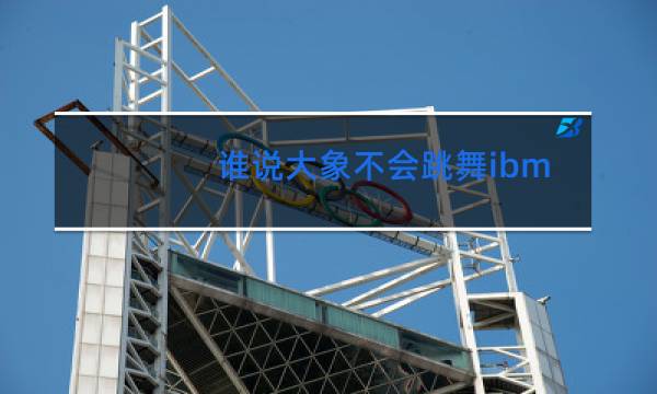 谁说大象不会跳舞ibm