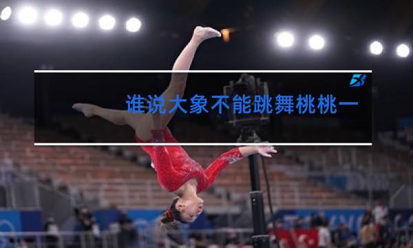 谁说大象不能跳舞桃桃一轮txt