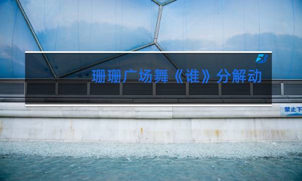 珊珊广场舞《谁》分解动作