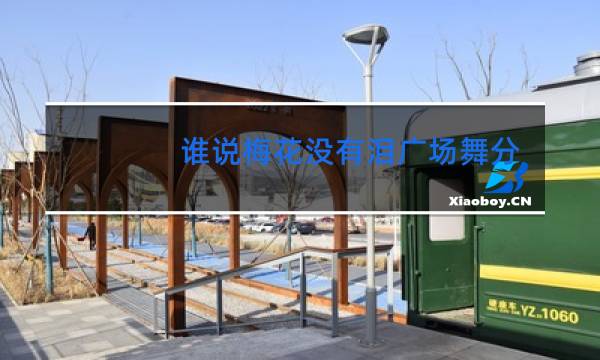 谁说梅花没有泪广场舞分解