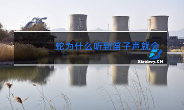 蛇为什么听到笛子声就会跳舞图片