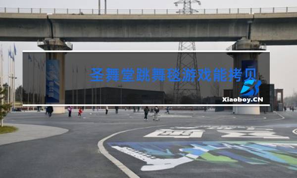 圣舞堂跳舞毯游戏能拷贝吗