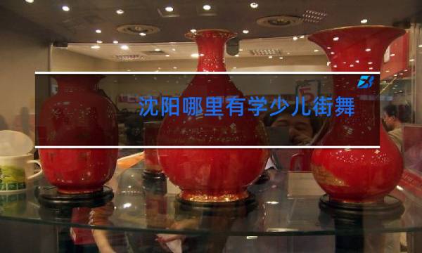 沈阳哪里有学少儿街舞