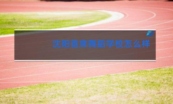 沈阳首席舞蹈学校怎么样