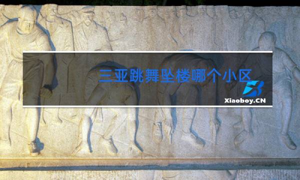 三亚跳舞坠楼哪个小区