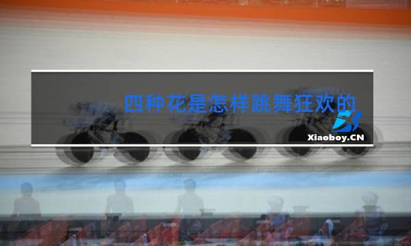 四种花是怎样跳舞狂欢的