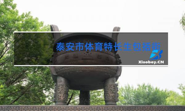 泰安市体育特长生包括街舞吗