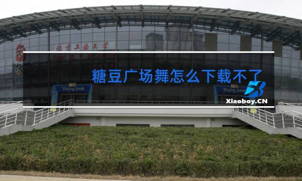 糖豆广场舞怎么下载不了视频