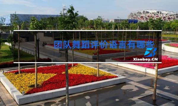 团队舞蹈评价语言有哪些图片