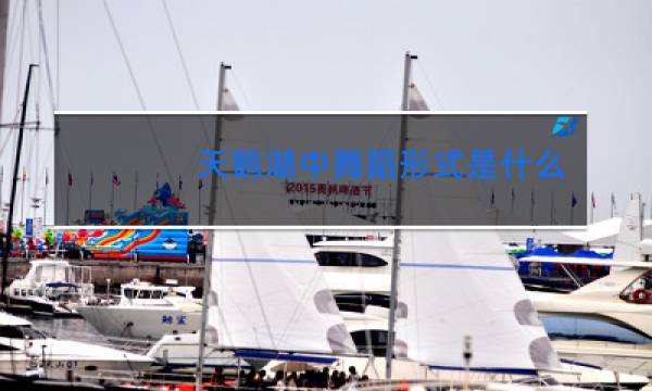 天鹅湖中舞蹈形式是什么