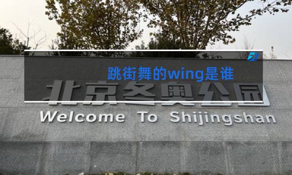 跳街舞的wing是谁