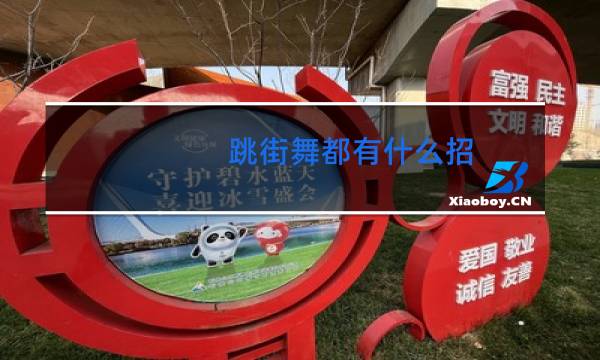 跳街舞都有什么招