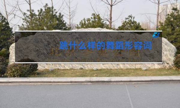 跳什么样的舞蹈形容词