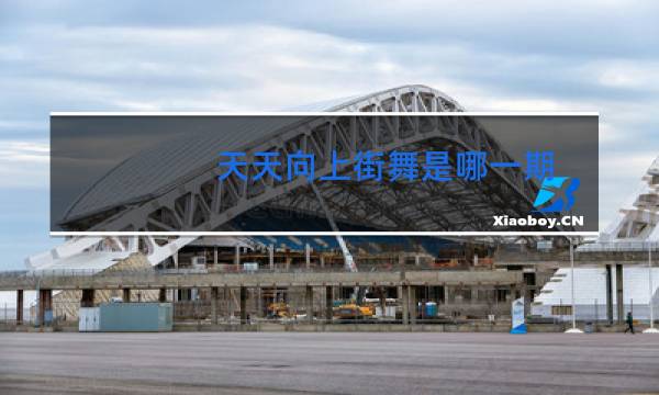 天天向上街舞是哪一期