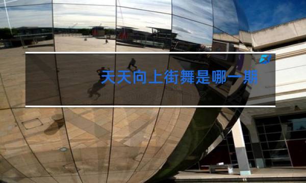 天天向上街舞是哪一期