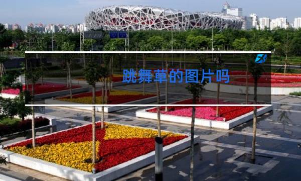 跳舞草的图片吗图片