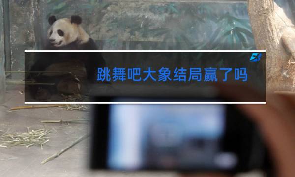 跳舞吧大象结局赢了吗图片