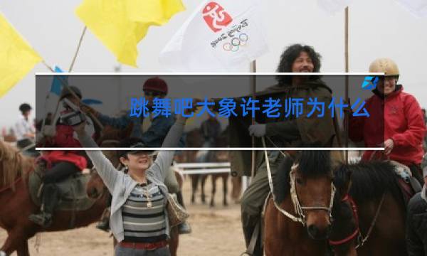 跳舞吧大象许老师为什么举报皮老师