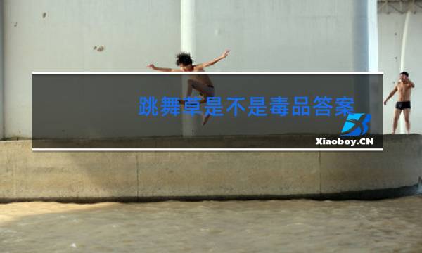 跳舞草是不是毒品答案